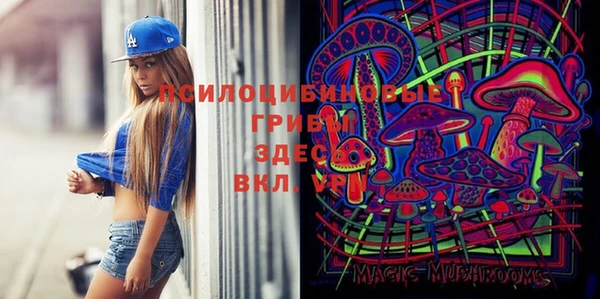 прущий лед Армянск