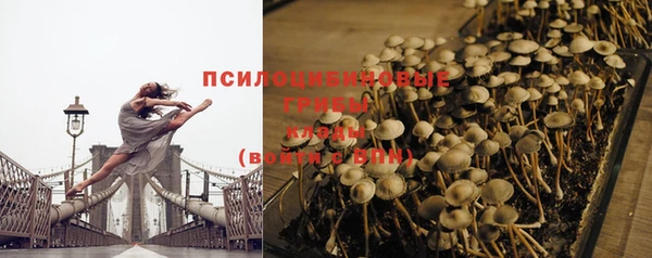 прущий лед Армянск